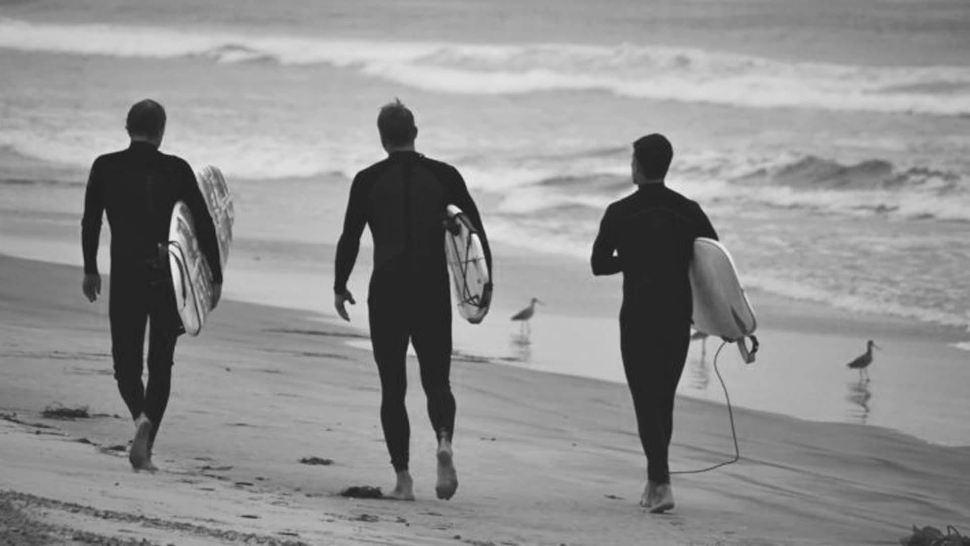 Premium wetsuits-contact page